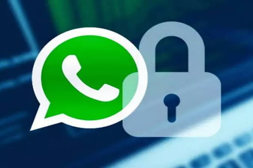 logicalshout updates whatsapp